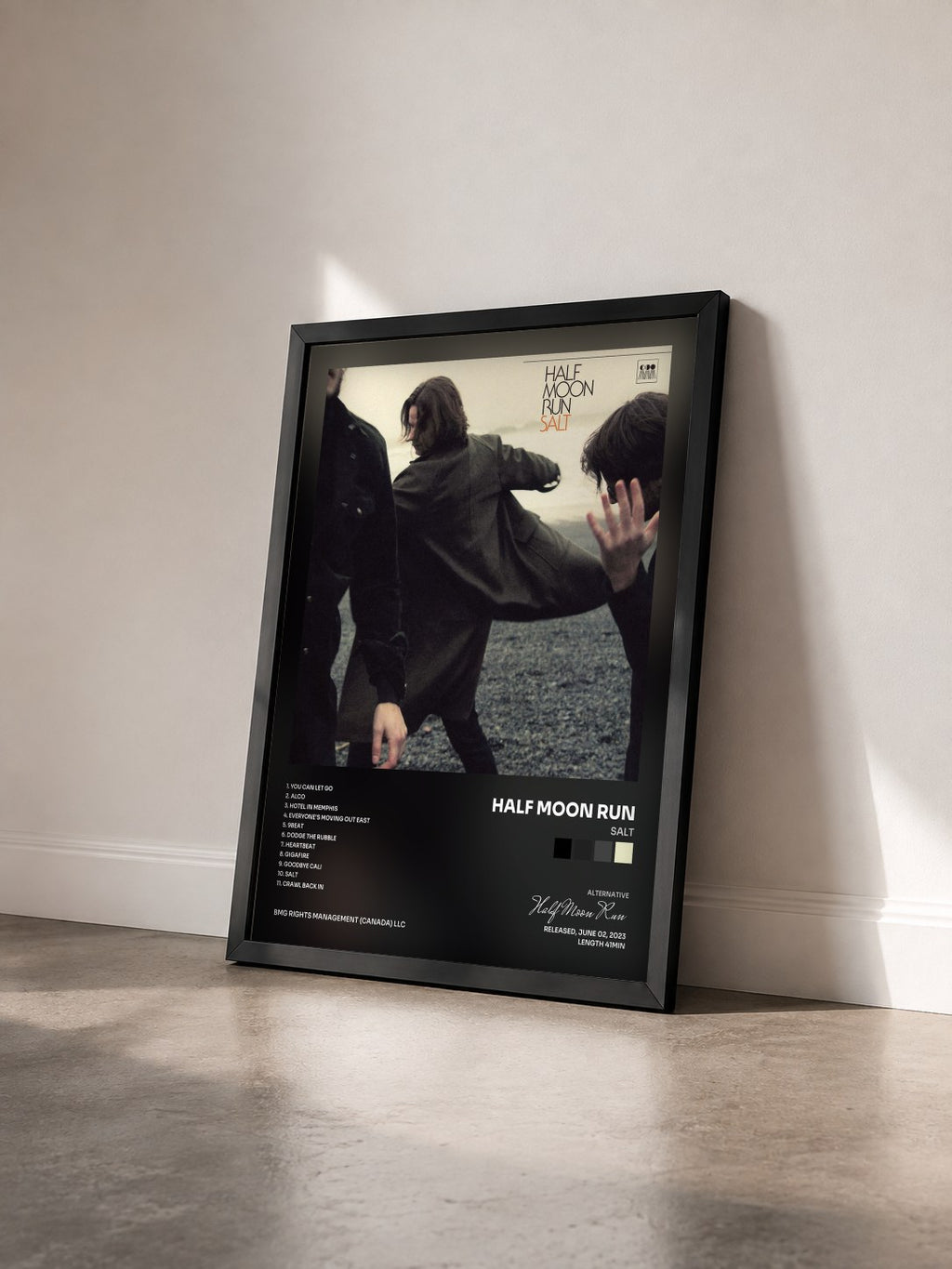 #noir Tableau de l'album Salt de Half Moon Run vu de trois quarts, cadre noir
