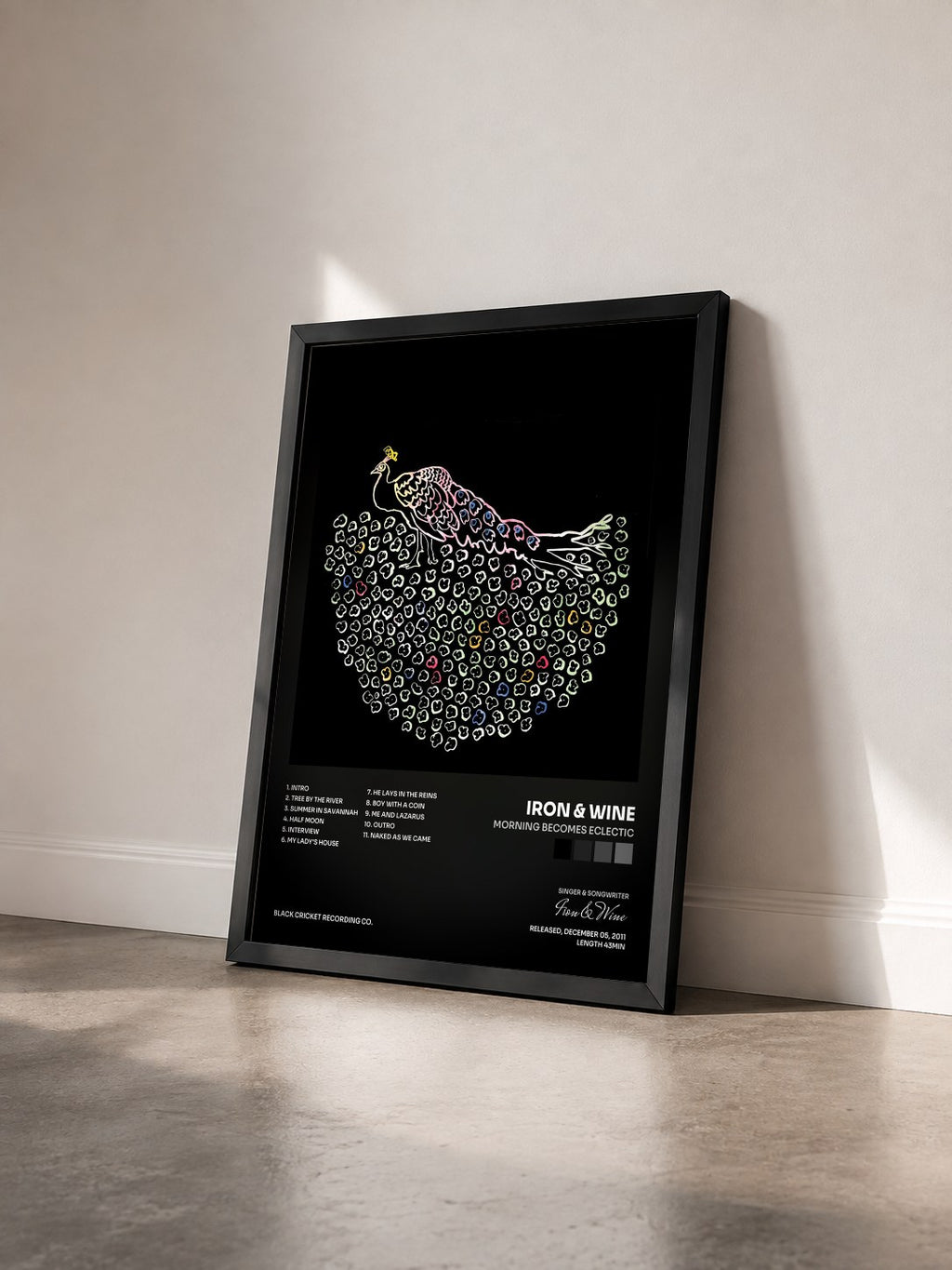 #noir Tableau de l'album Morning Becomes Eclectic de Iron & Wine vu de trois quarts, cadre noir