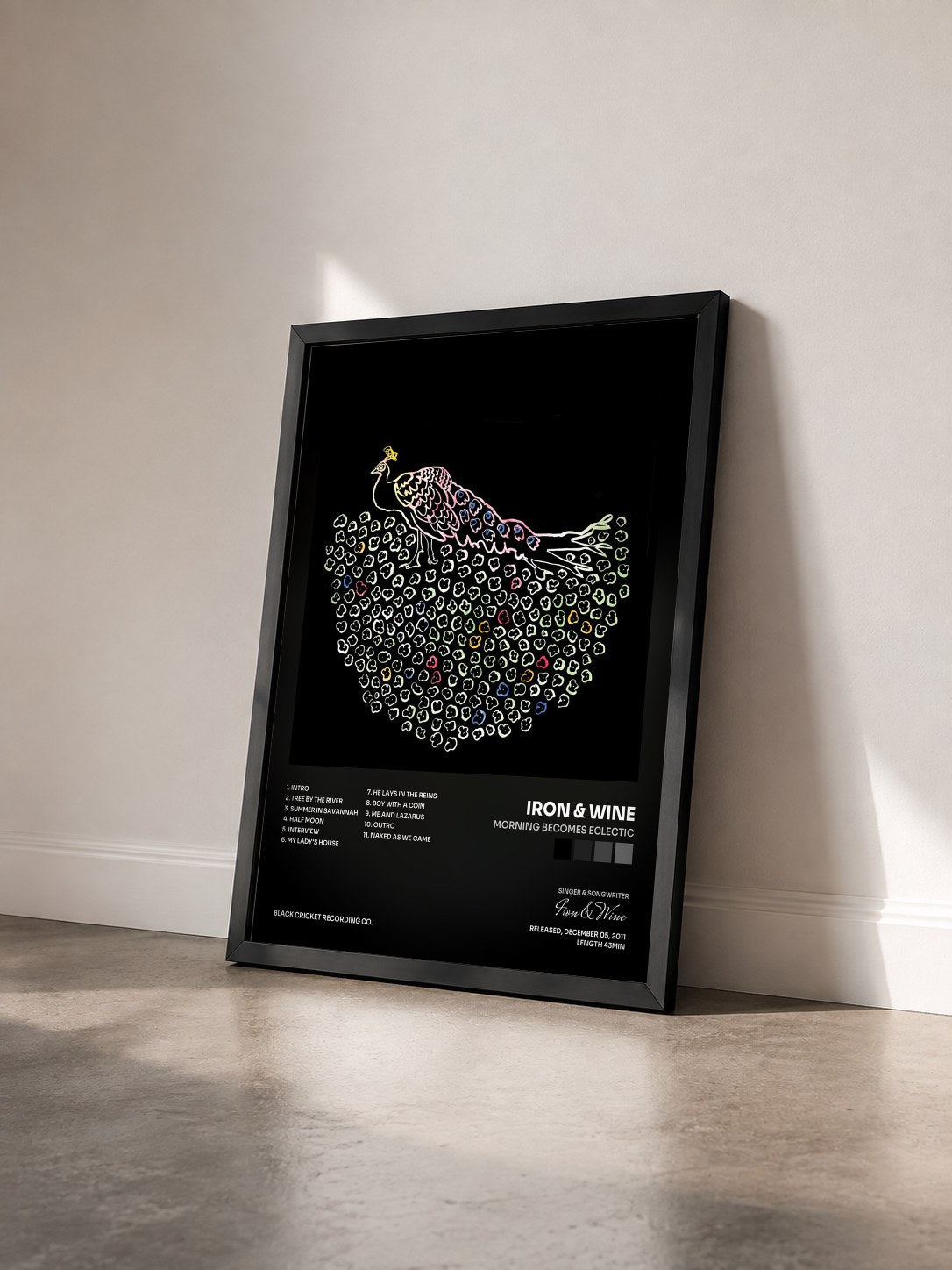 #noir Tableau de l'album Morning Becomes Eclectic de Iron & Wine vu de trois quarts, cadre noir