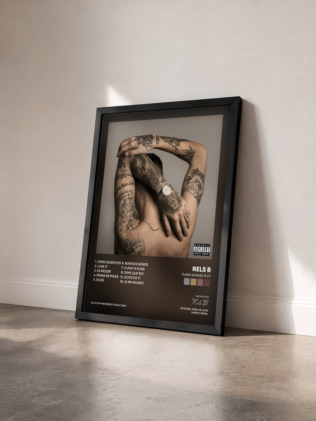 #noir Tableau de l'album Flakk Daniel's Lp de Rels B vu de trois quarts, cadre noir