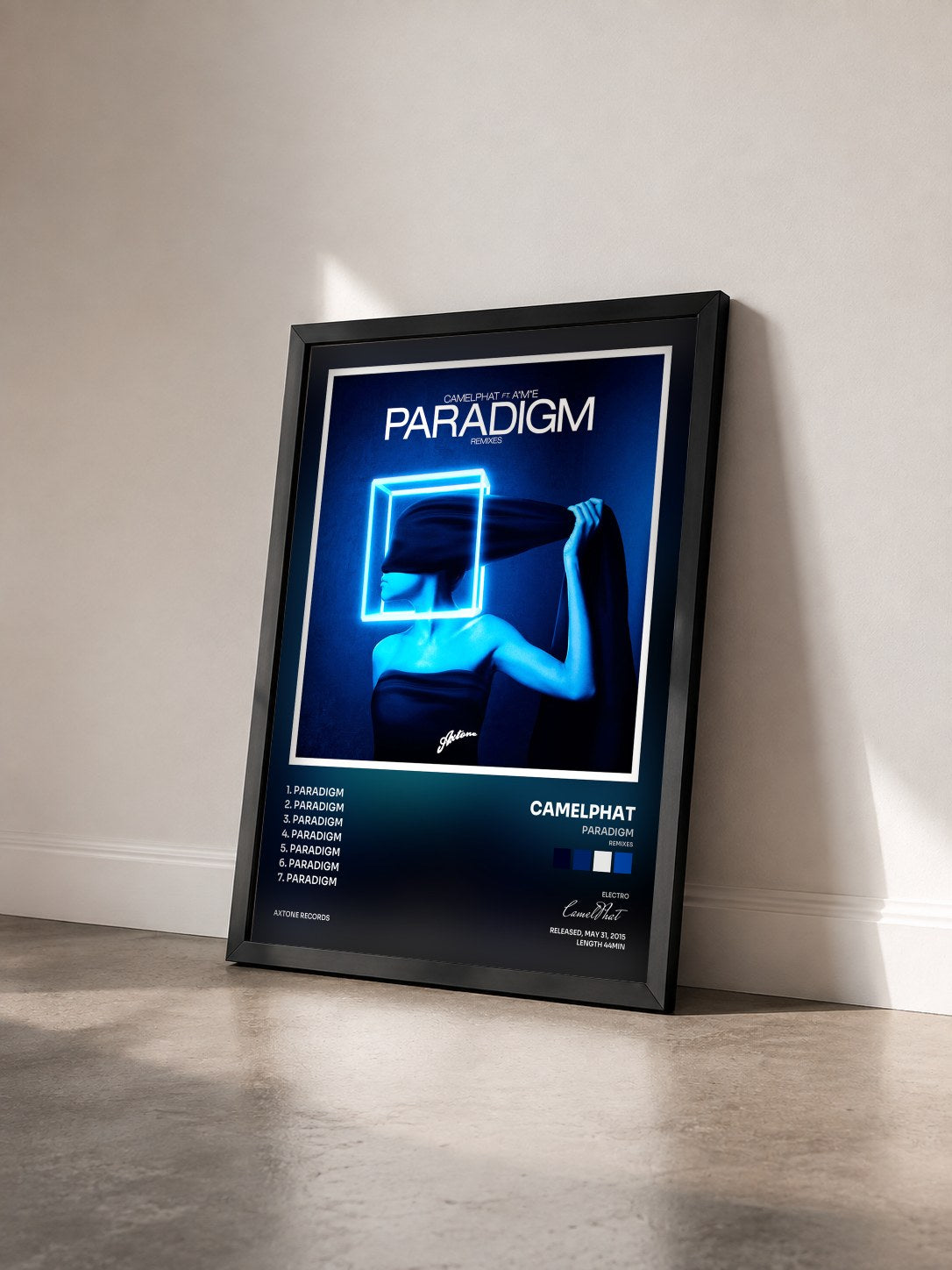 #noir Tableau de l'album Paradigm (Remixes) de CamelPhat vu de trois quarts, cadre noir