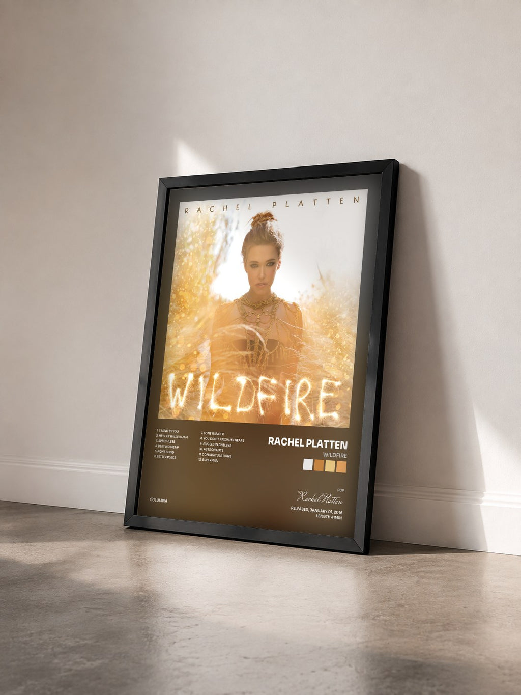 #noir Tableau de l'album Wildfire de Rachel Platten vu de trois quarts, cadre noir