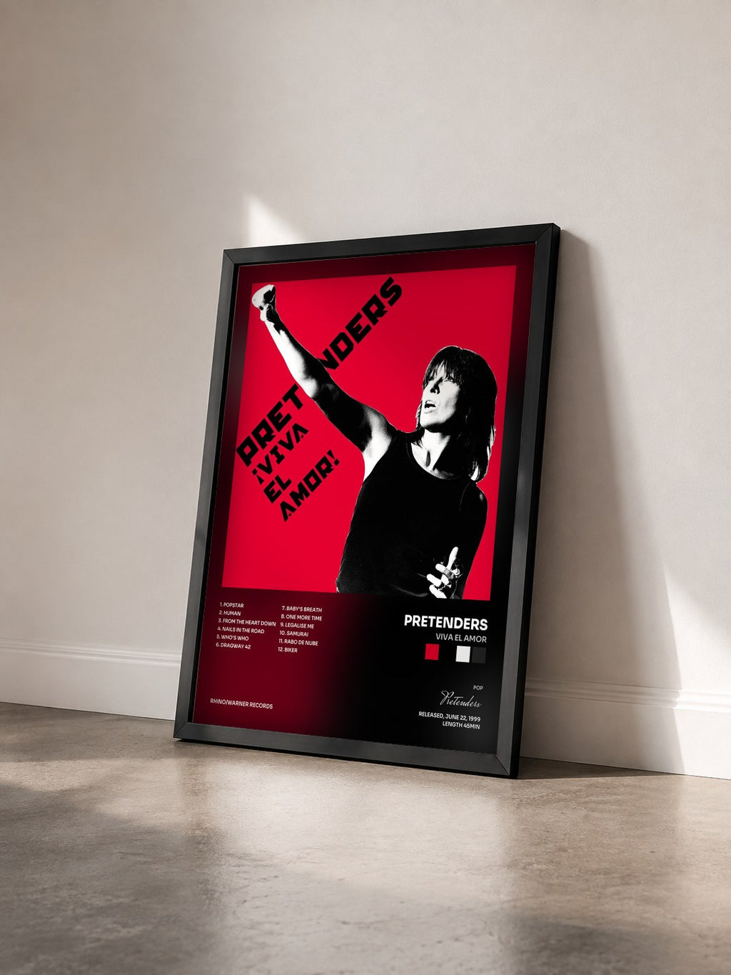 #noir Tableau de l'album Viva El Amor de Pretenders vu de trois quarts, cadre noir