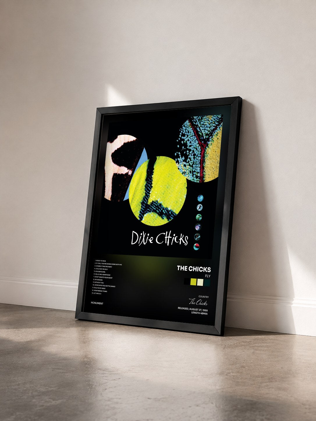 #noir Tableau de l'album Fly de The Chicks vu de trois quarts, cadre noir