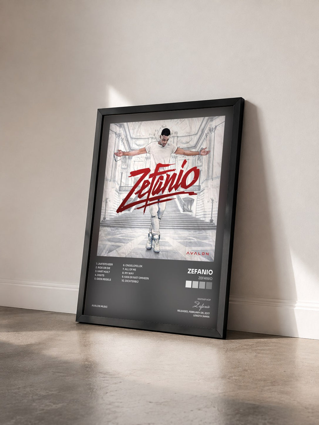 #noir Tableau de l'album ZEFANIO de Zefanio vu de trois quarts, cadre noir