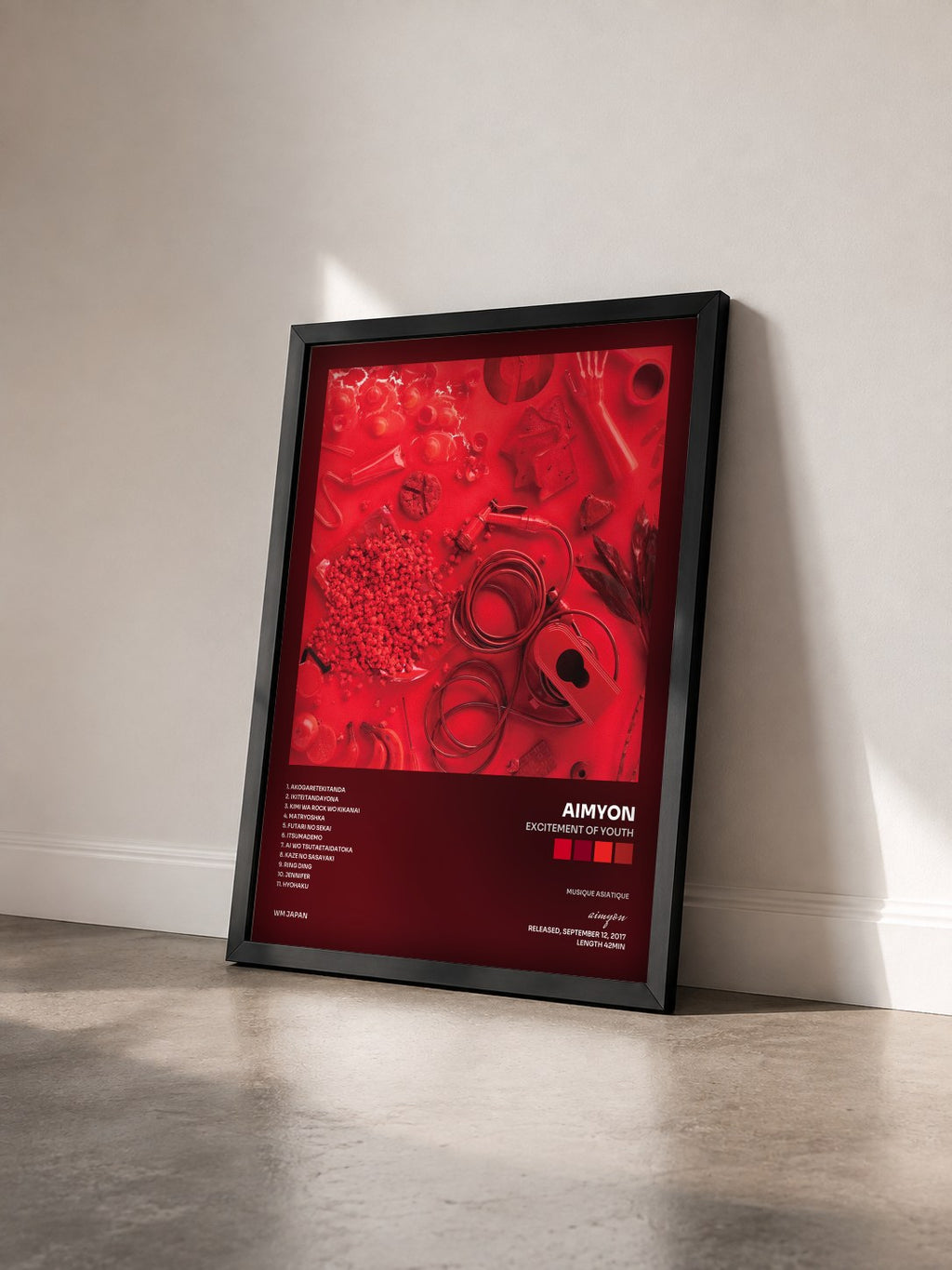 #noir Tableau de l'album Excitement of Youth de aimyon vu de trois quarts, cadre noir