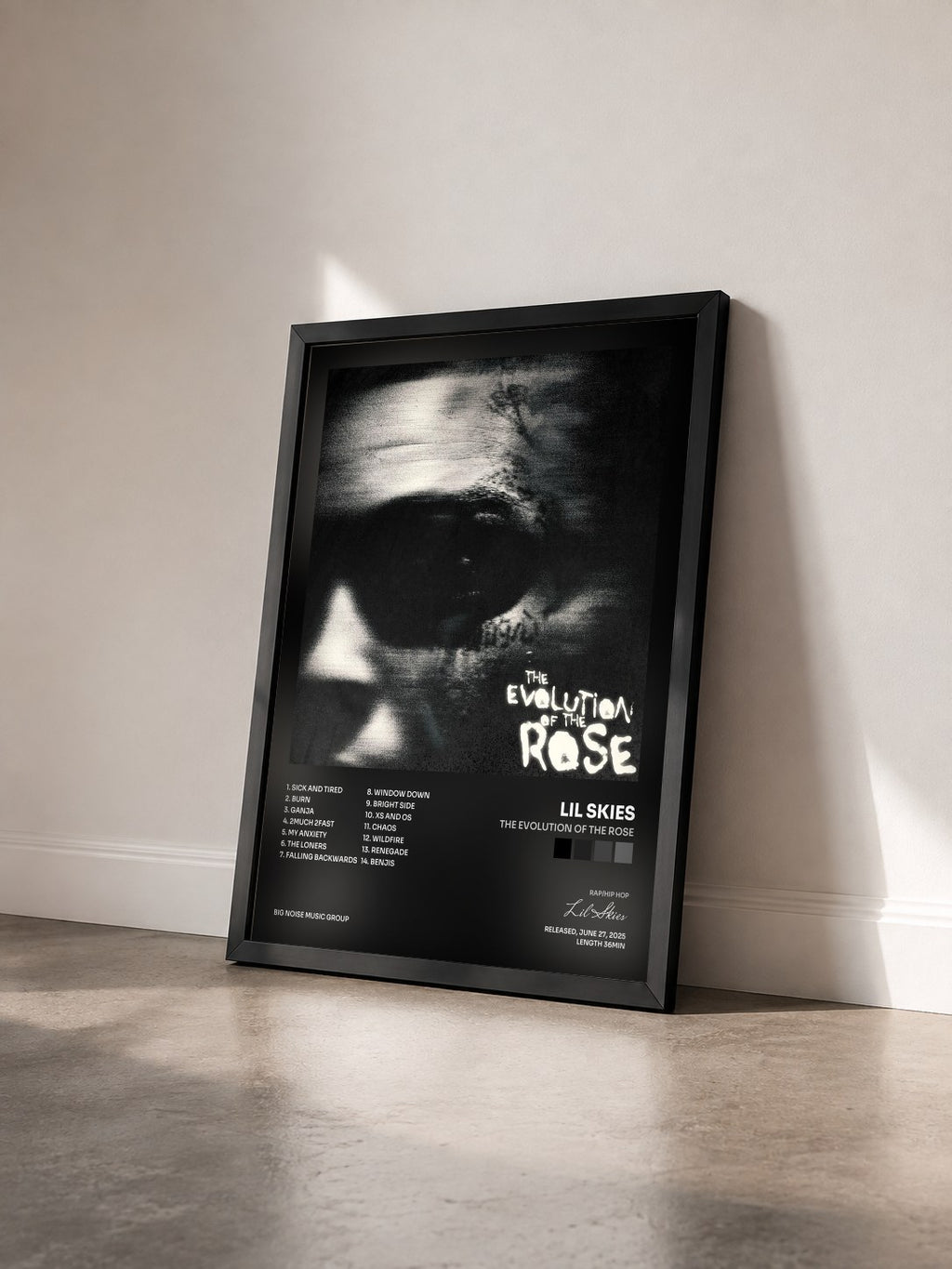 #noir Tableau de l'album The Evolution of the Rose de Lil Skies vu de trois quarts, cadre noir