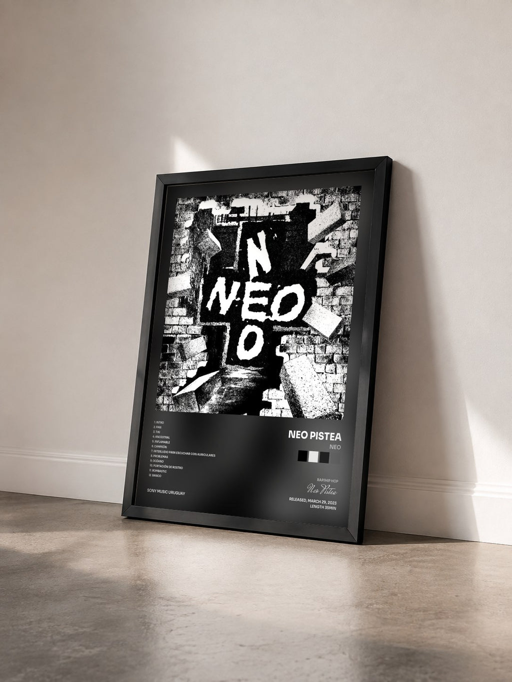 #noir Tableau de l'album NEO de Neo Pistea vu de trois quarts, cadre noir