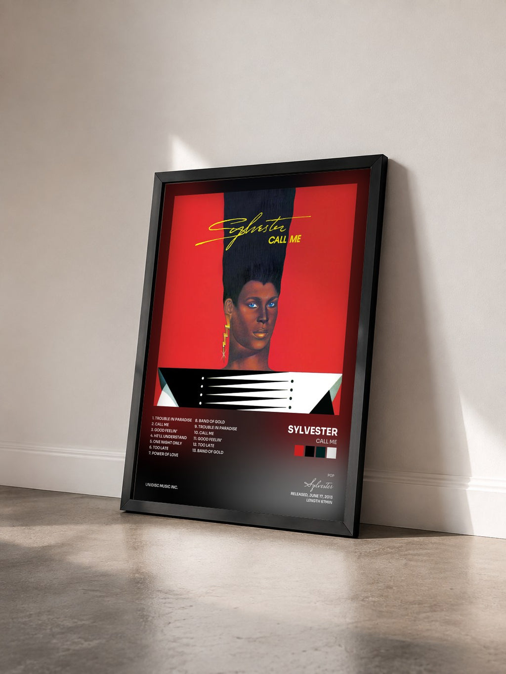 #noir Tableau de l'album Call Me de Sylvester vu de trois quarts, cadre noir