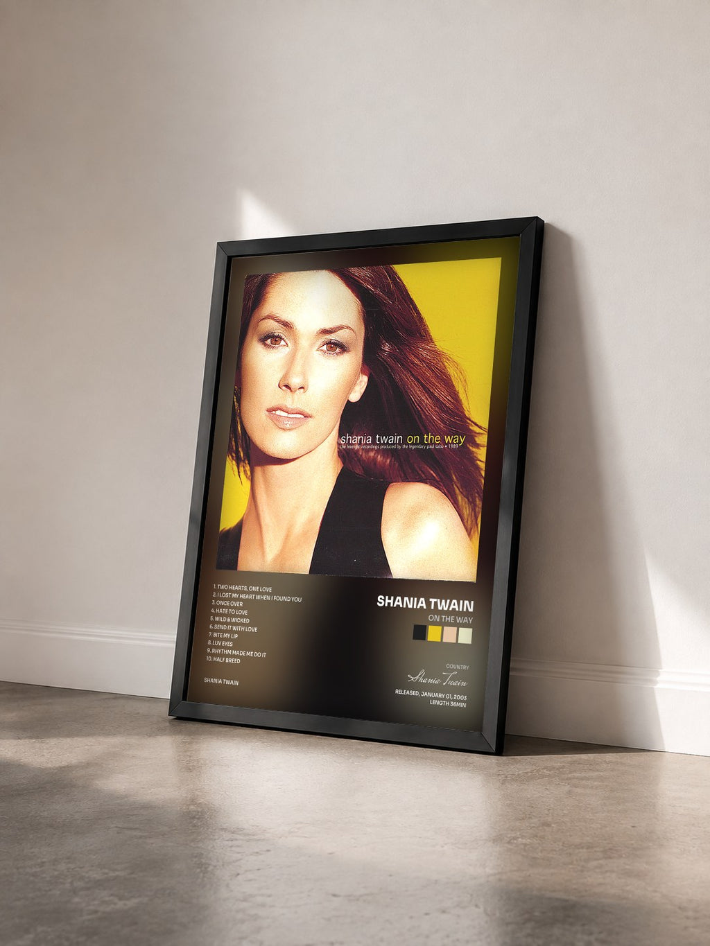 #noir Tableau de l'album On The Way de Shania Twain vu de trois quarts, cadre noir