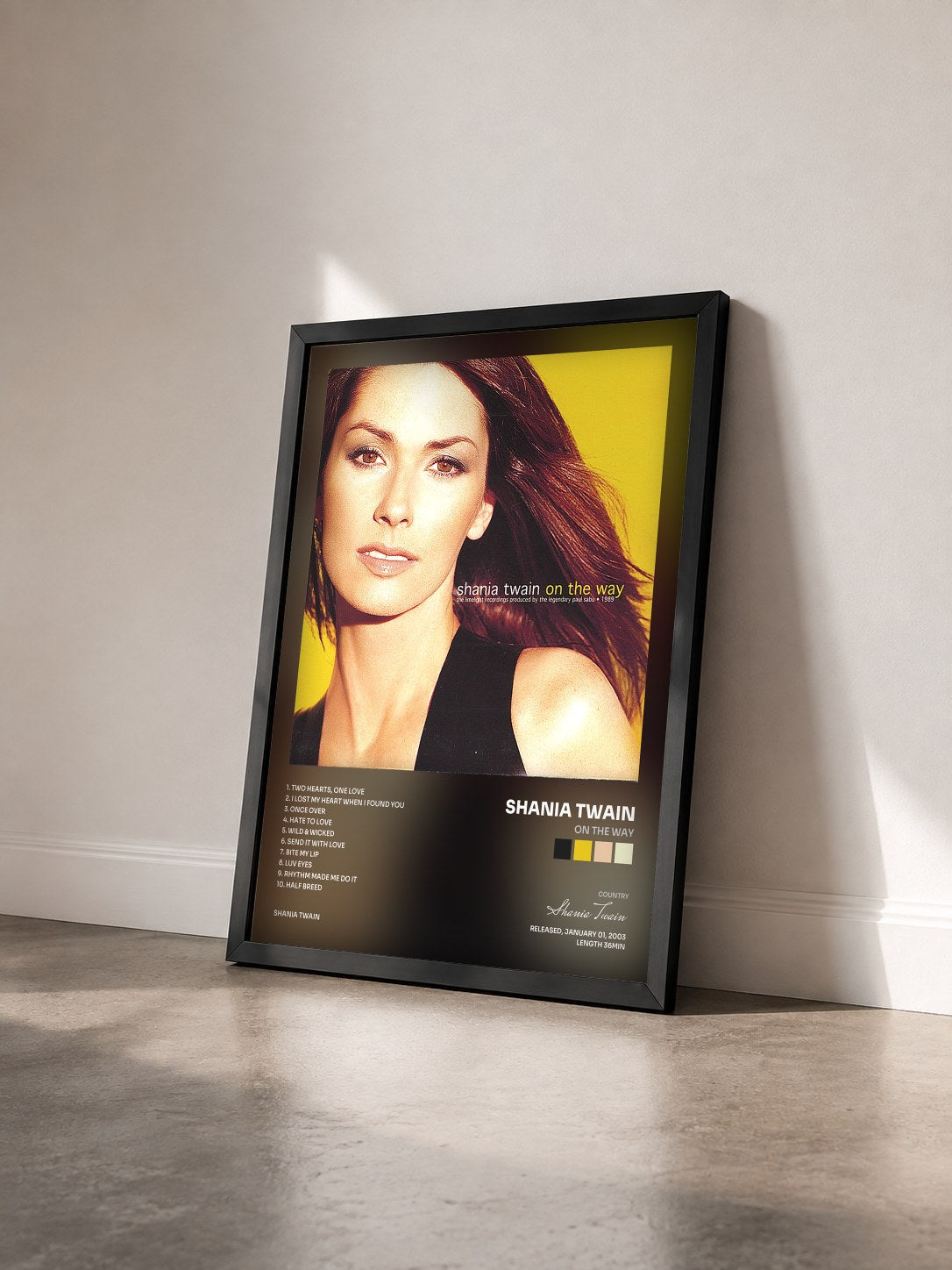 #noir Tableau de l'album On The Way de Shania Twain vu de trois quarts, cadre noir