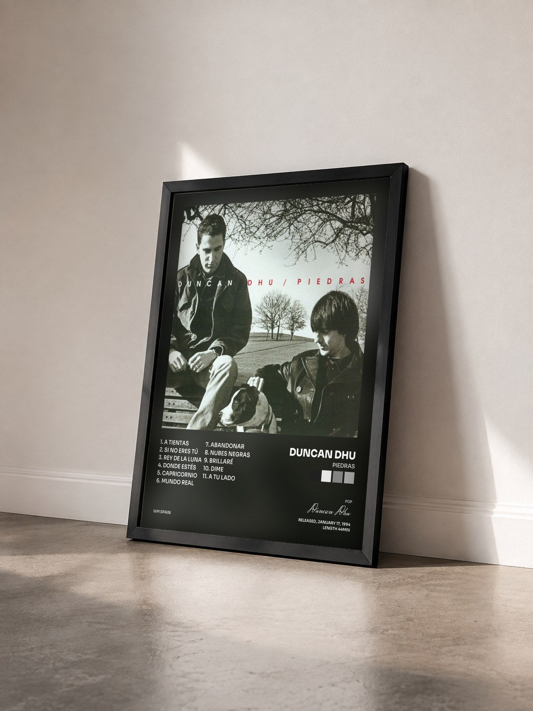 #noir Tableau de l'album Piedras de Duncan Dhu vu de trois quarts, cadre noir