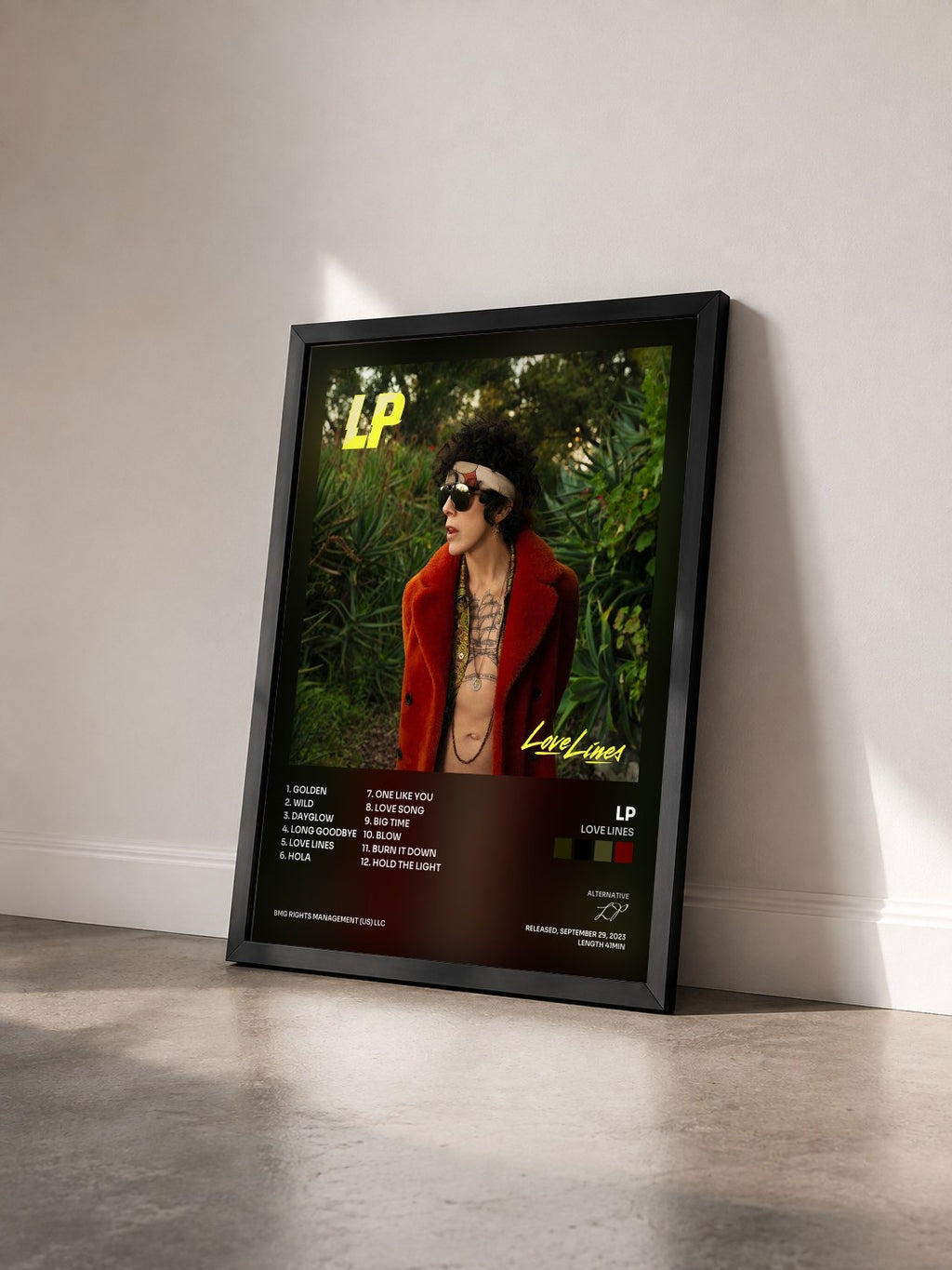 #noir Tableau de l'album Love Lines de LP vu de trois quarts, cadre noir