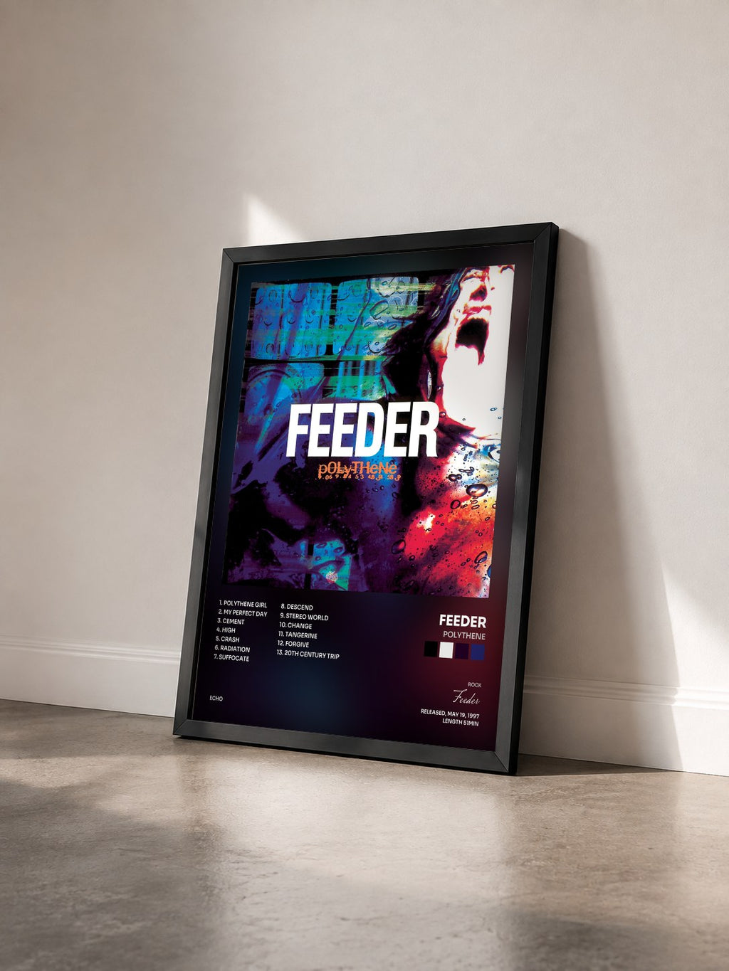 #noir Tableau de l'album Polythene de Feeder vu de trois quarts, cadre noir