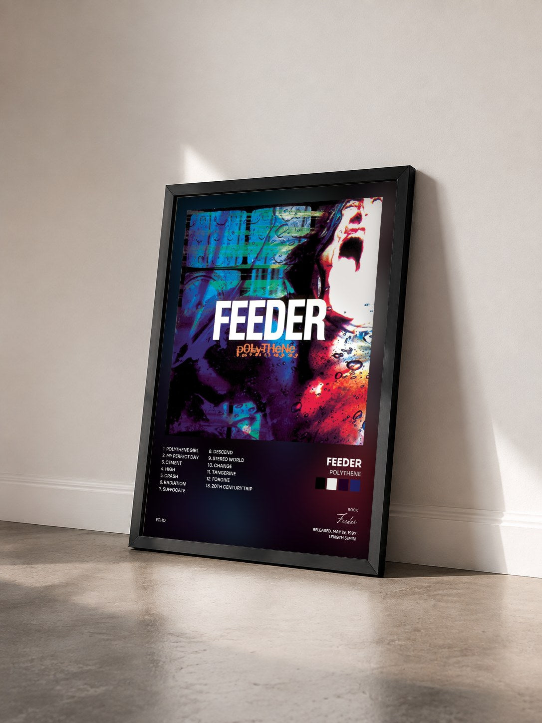 #noir Tableau de l'album Polythene de Feeder vu de trois quarts, cadre noir