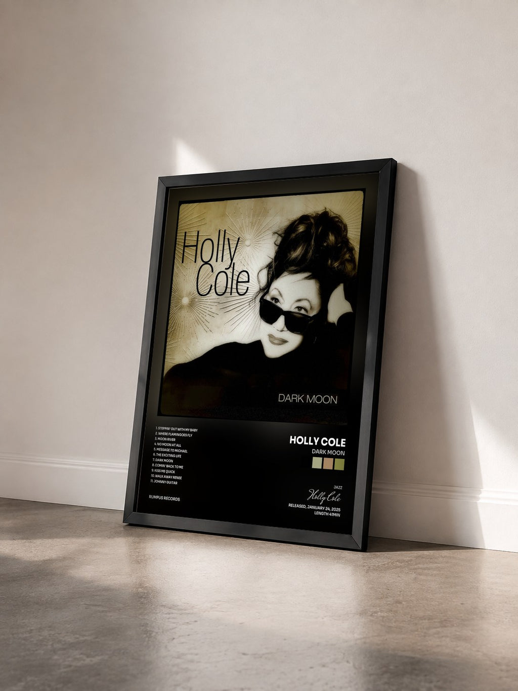 #noir Tableau de l'album Dark Moon de Holly Cole vu de trois quarts, cadre noir