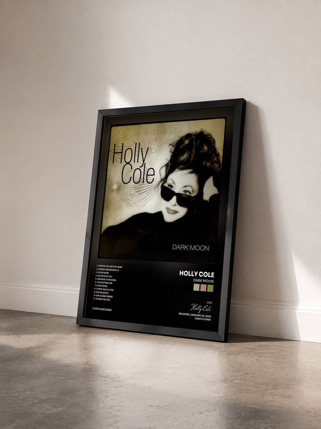 #noir Tableau de l'album Dark Moon de Holly Cole vu de trois quarts, cadre noir