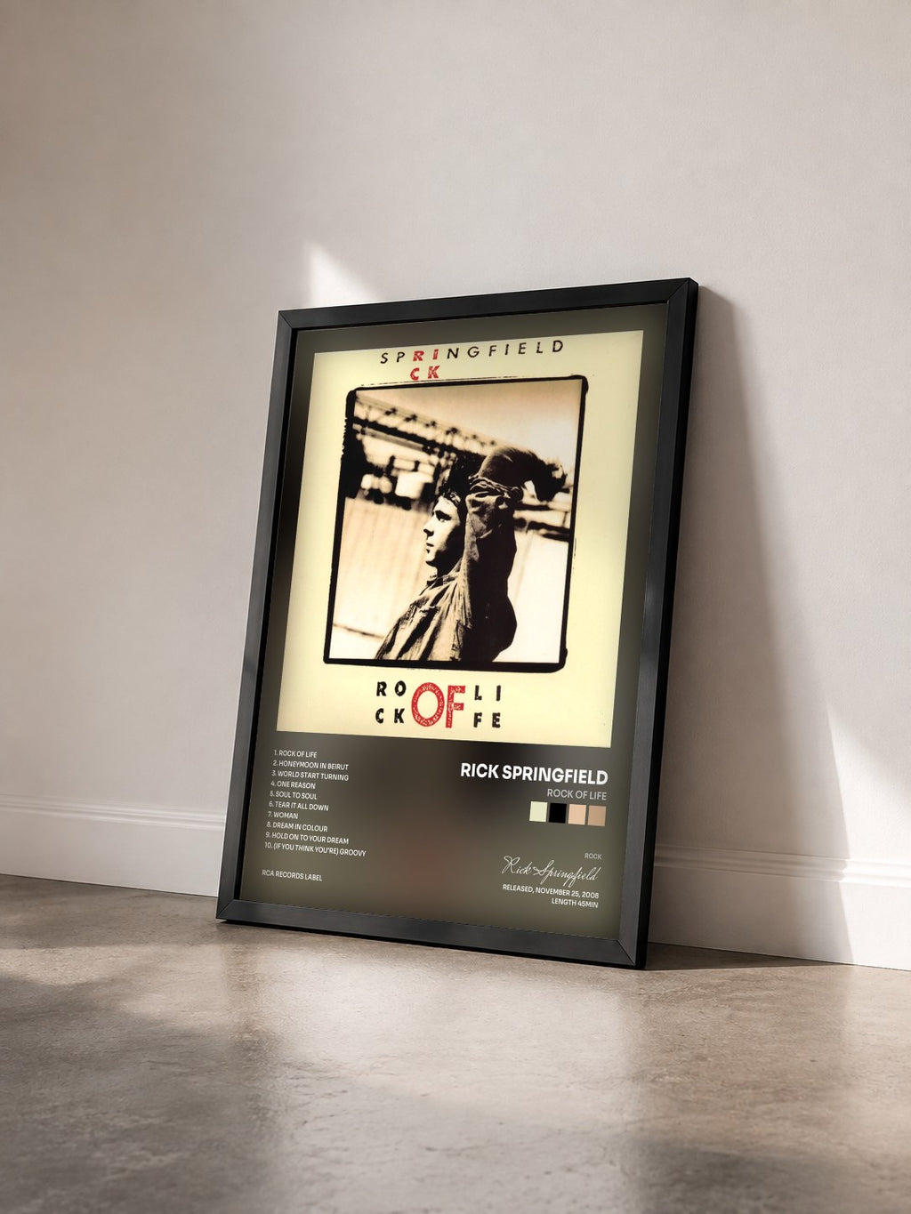#noir Tableau de l'album Rock of Life de Rick Springfield vu de trois quarts, cadre noir