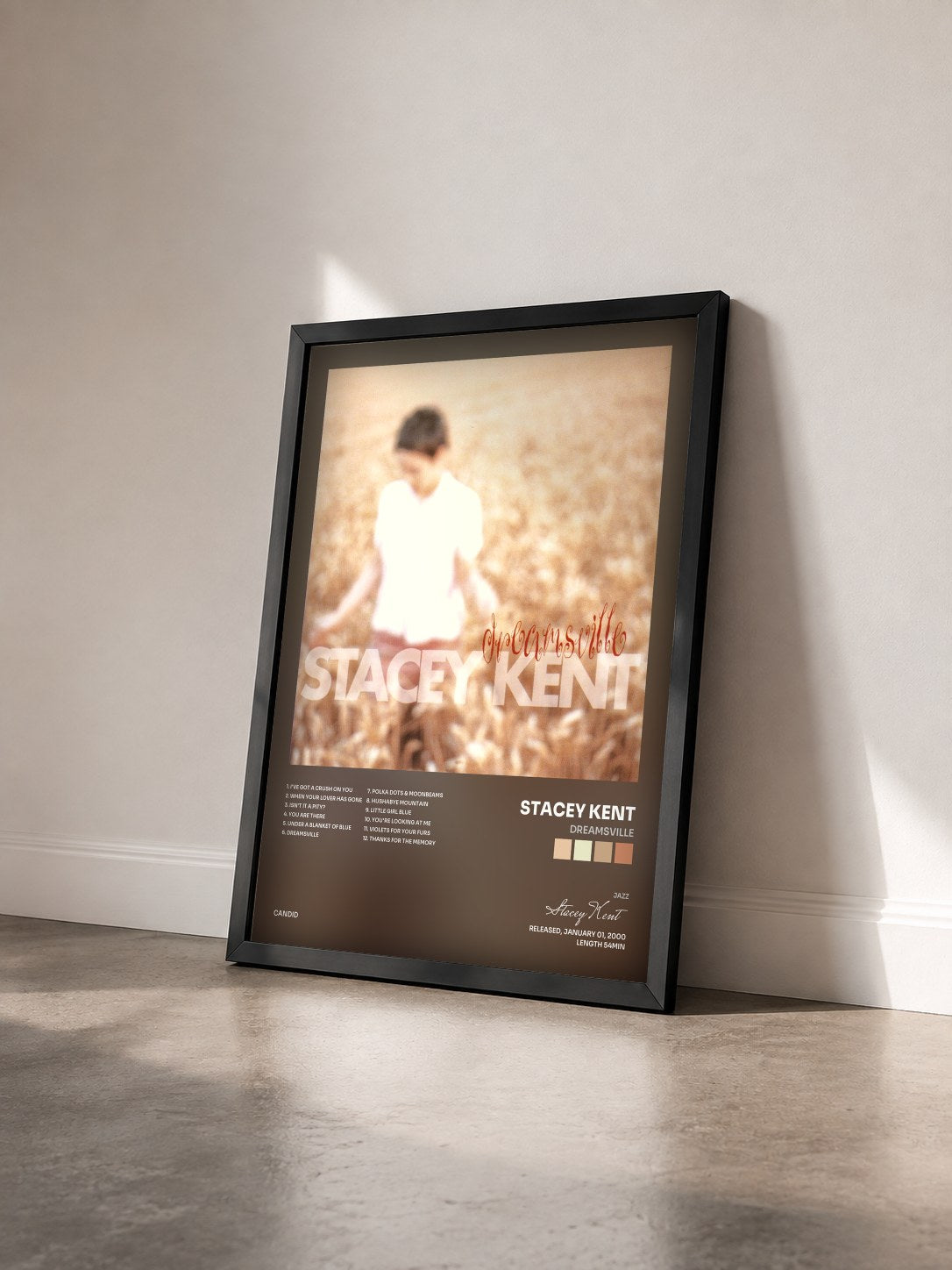 #noir Tableau de l'album Dreamsville de Stacey Kent vu de trois quarts, cadre noir