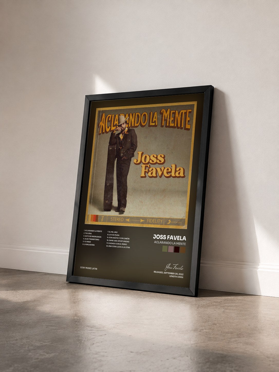 #noir Tableau de l'album Aclarando la Mente de Joss Favela vu de trois quarts, cadre noir