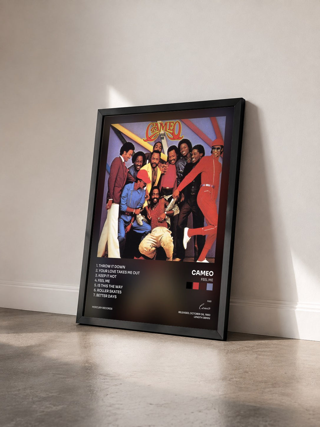 #noir Tableau de l'album Feel Me de Cameo vu de trois quarts, cadre noir