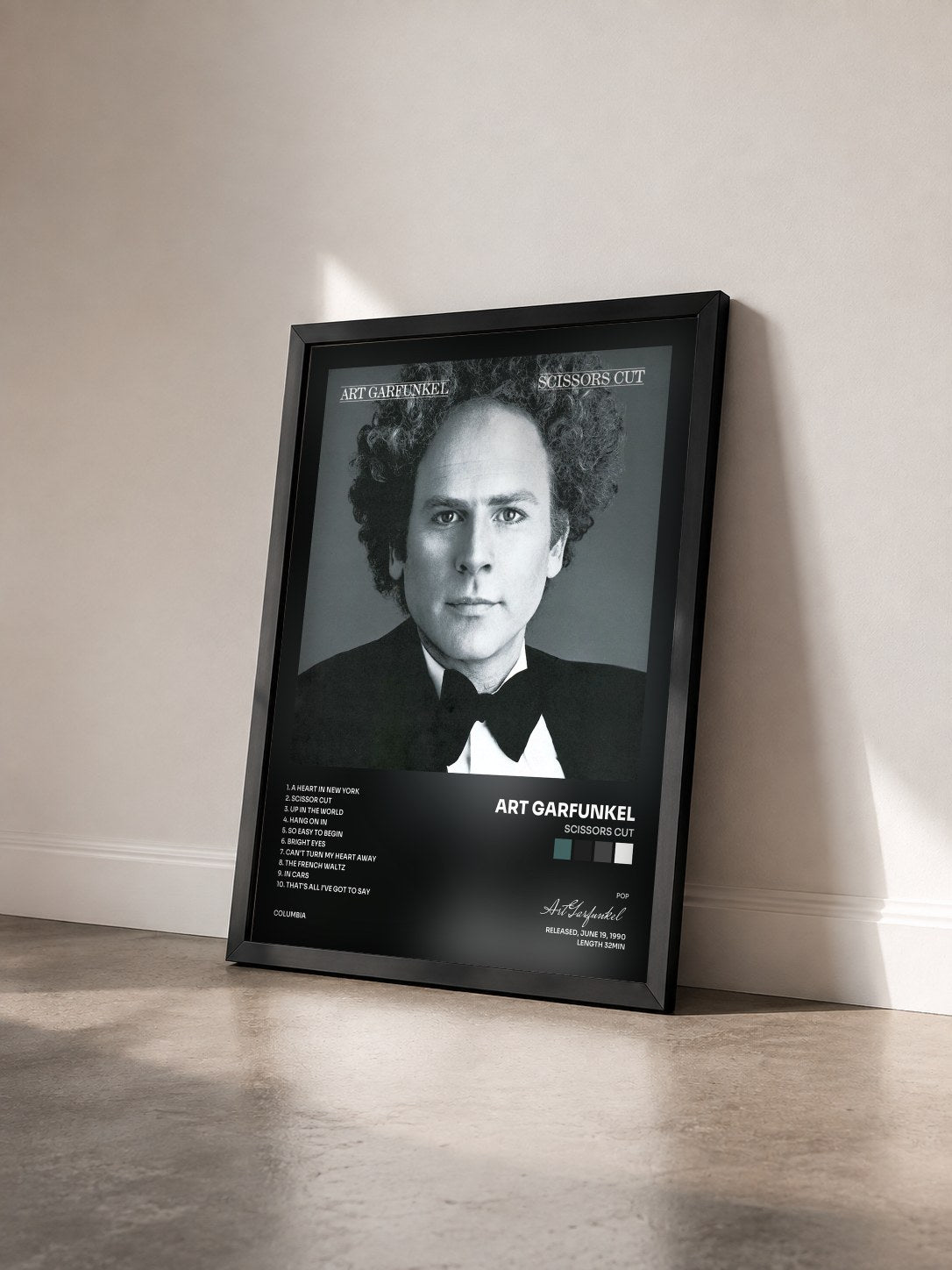 #noir Tableau de l'album Scissors Cut de Art Garfunkel vu de trois quarts, cadre noir