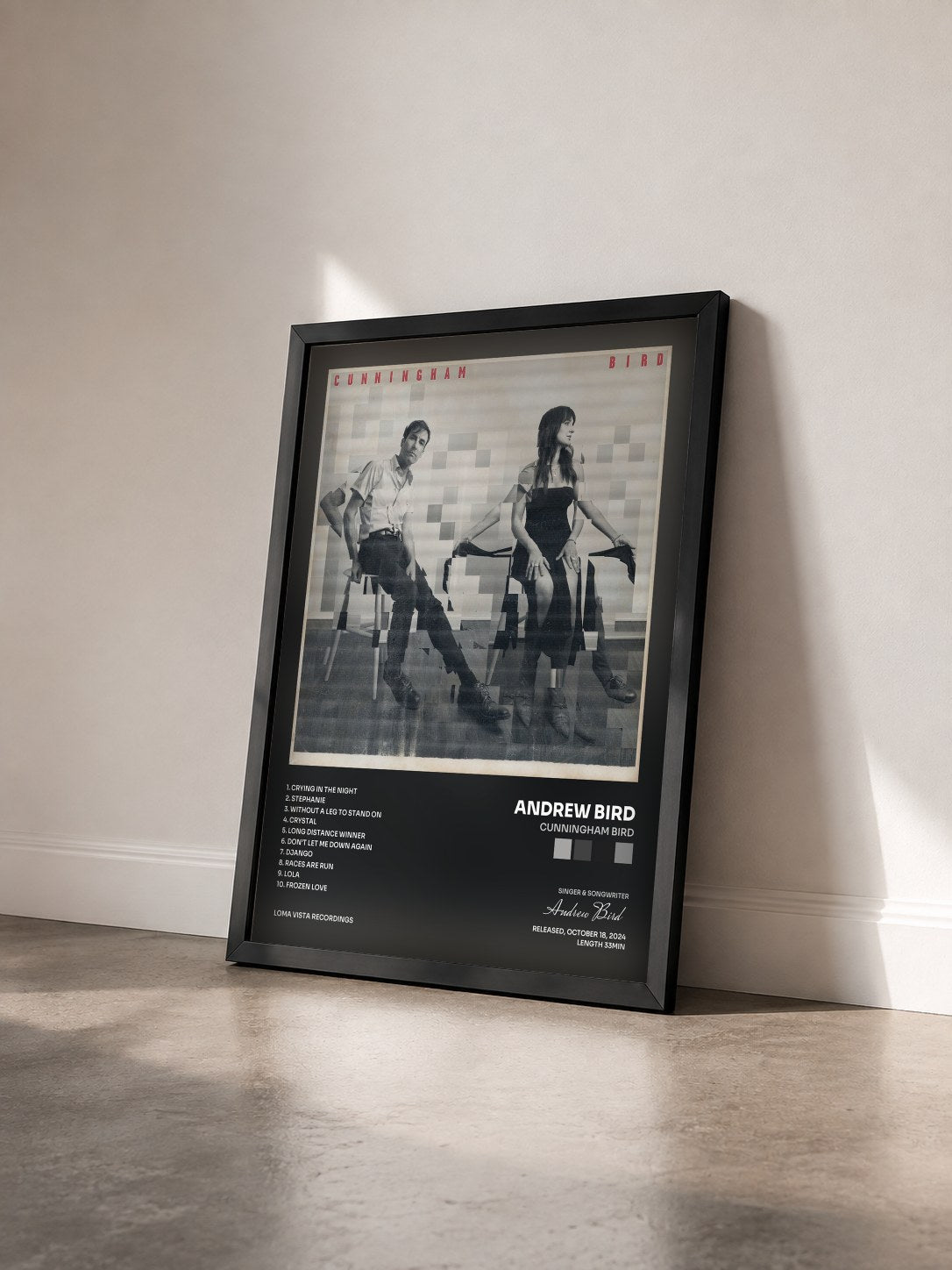 #noir Tableau de l'album Cunningham Bird de Andrew Bird vu de trois quarts, cadre noir