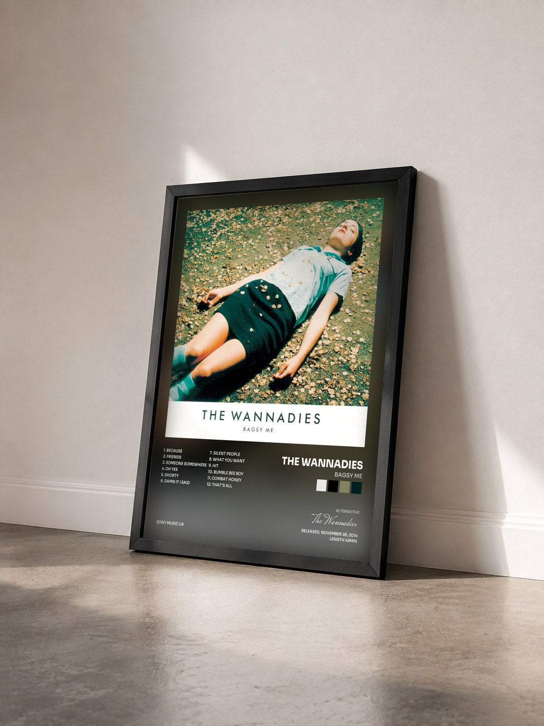 #noir Tableau de l'album Bagsy Me de The Wannadies vu de trois quarts, cadre noir