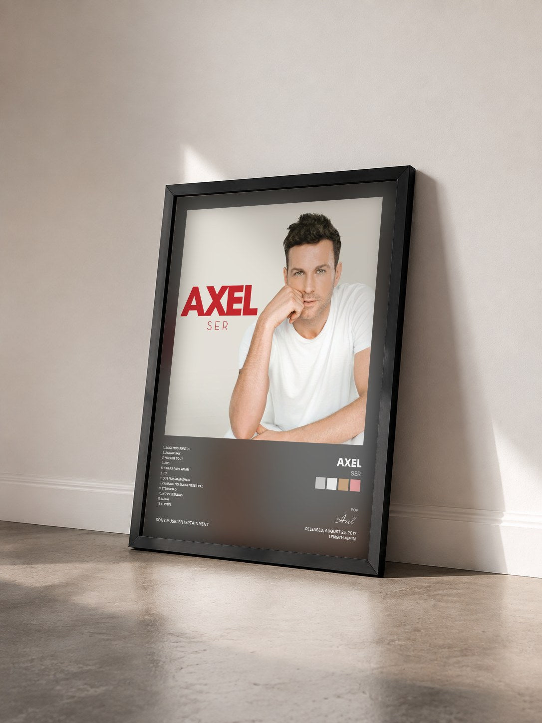 #noir Tableau de l'album Ser de Axel vu de trois quarts, cadre noir