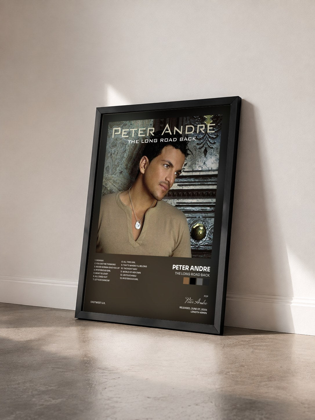 #noir Tableau de l'album The Long Road Back de Peter Andre vu de trois quarts, cadre noir