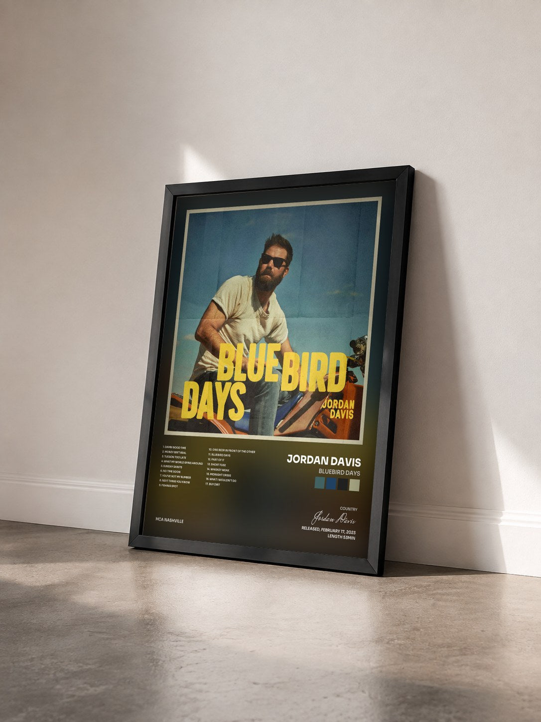 #noir Tableau de l'album Bluebird Days de Jordan Davis vu de trois quarts, cadre noir