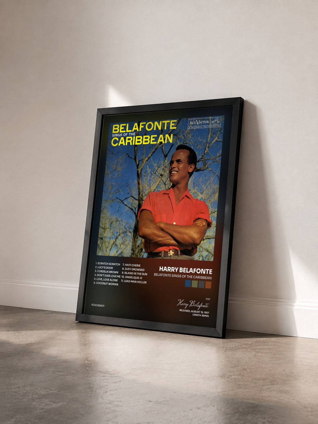 #noir Tableau de l'album Belafonte Sings of The Caribbean de Harry Belafonte vu de trois quarts, cadre noir