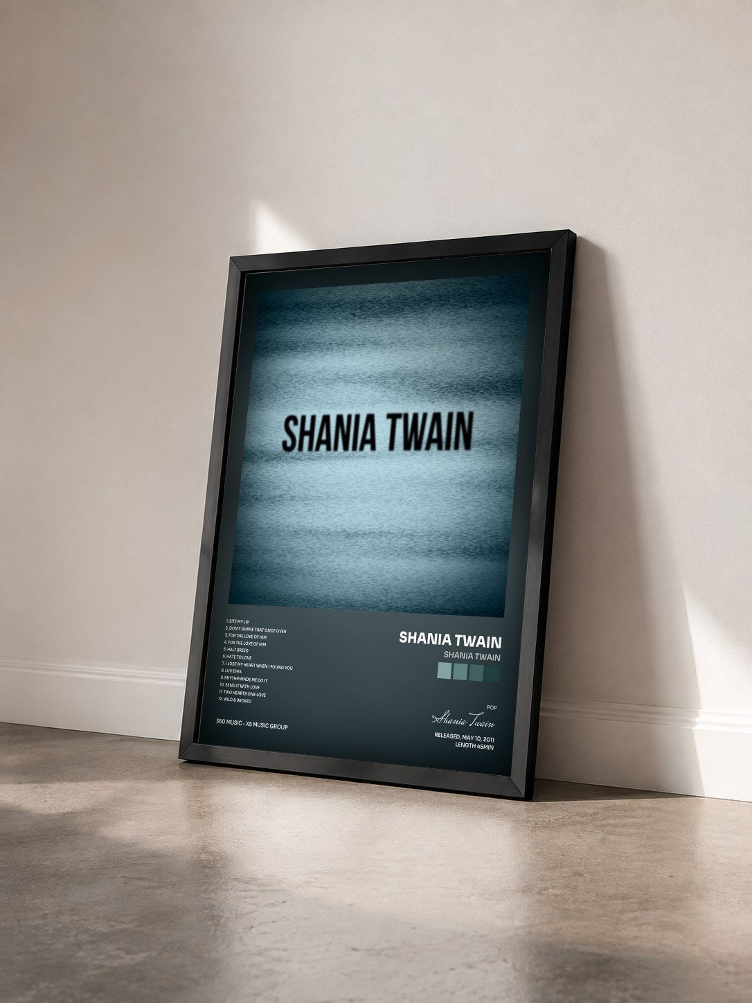 #noir Tableau de l'album Shania Twain de Shania Twain vu de trois quarts, cadre noir