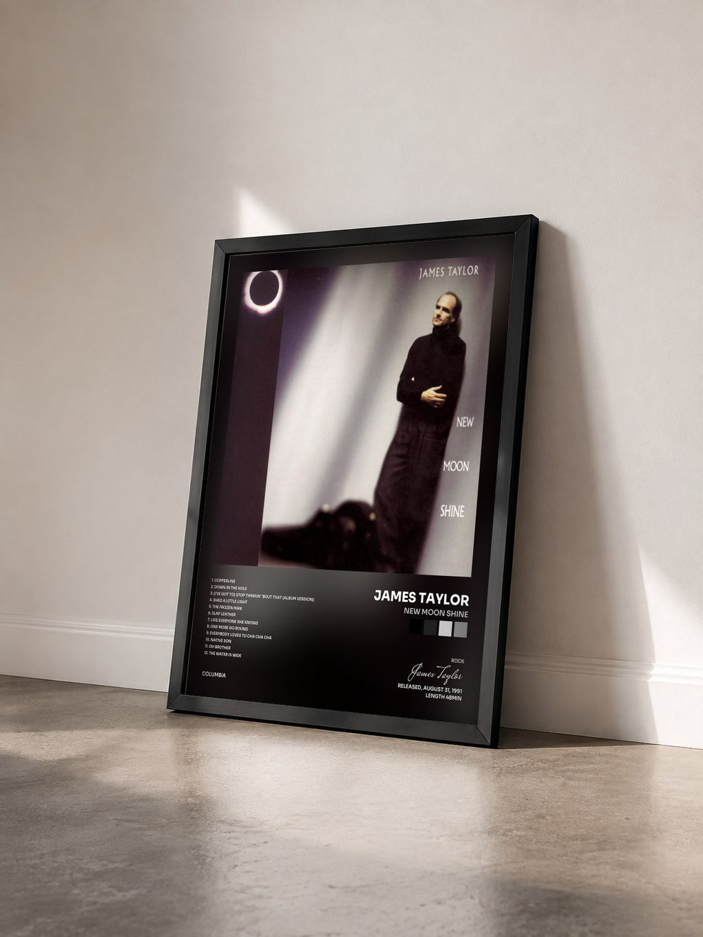 #noir Tableau de l'album New Moon Shine de James Taylor vu de trois quarts, cadre noir