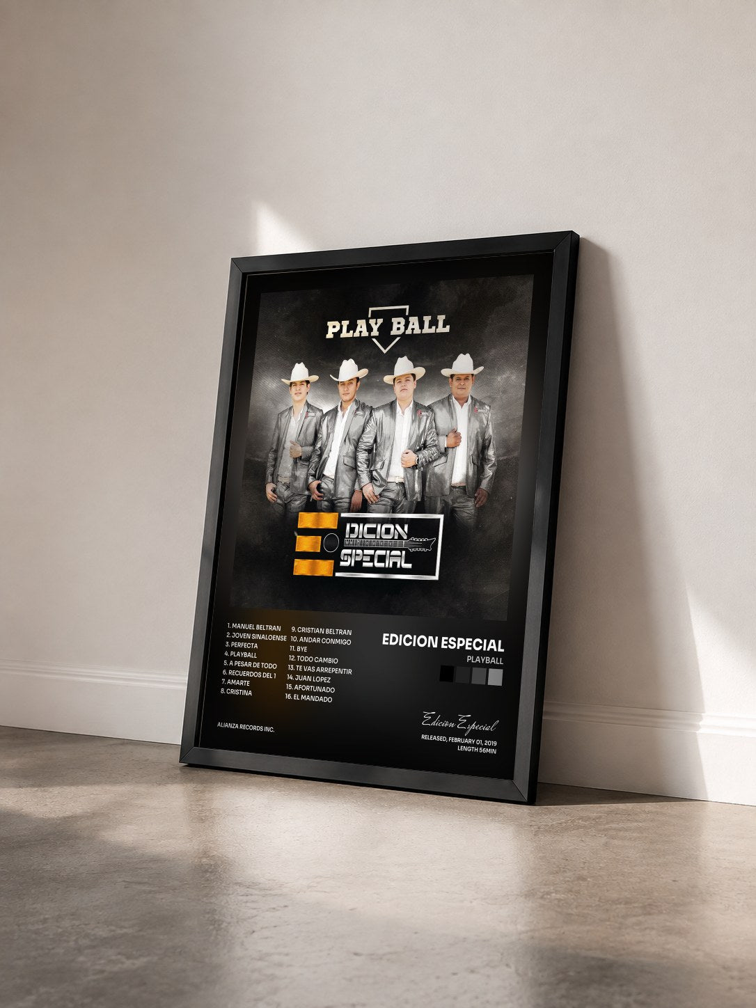 #noir Tableau de l'album Playball de Edicion Especial vu de trois quarts, cadre noir