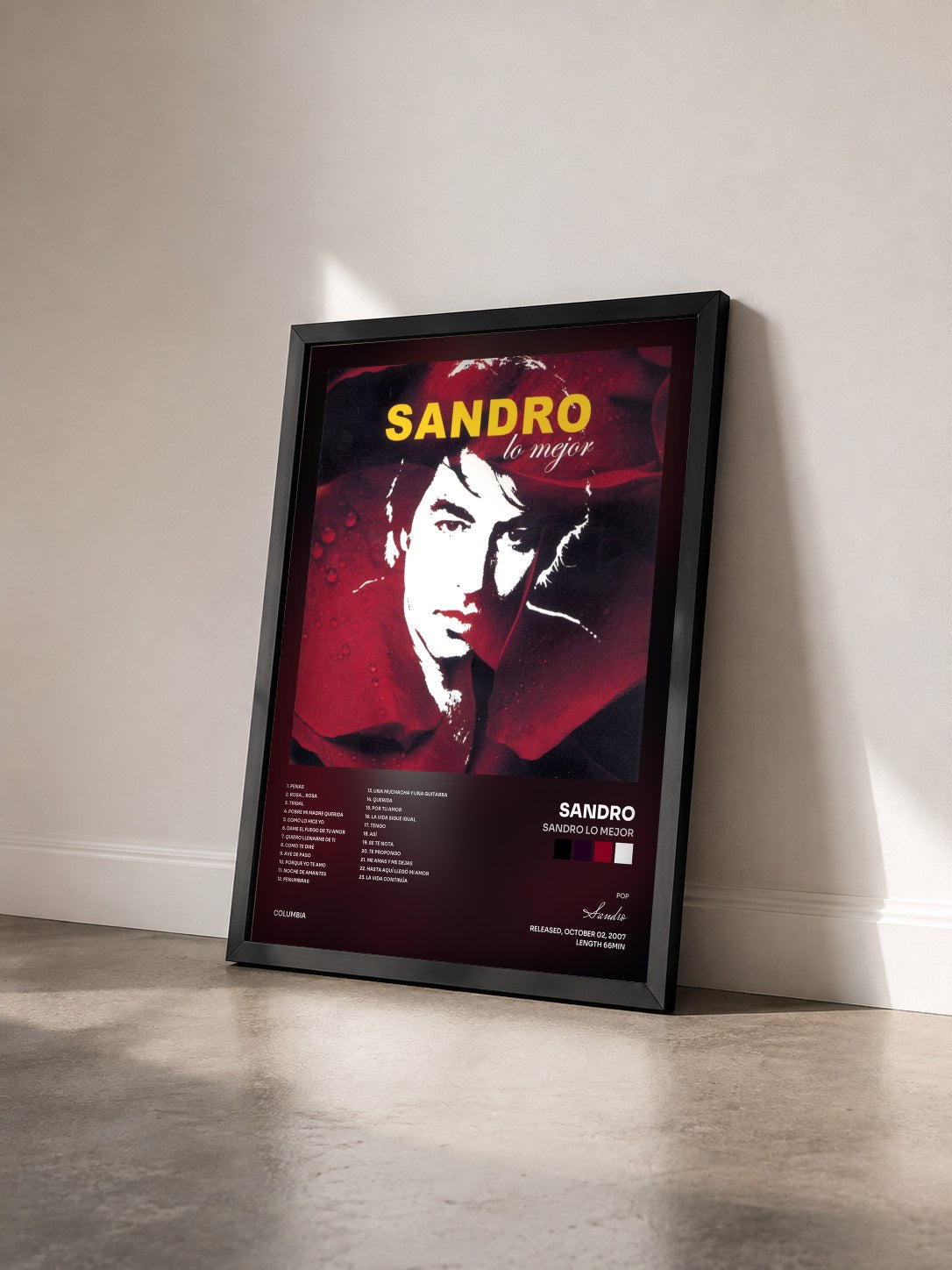 #noir Tableau de l'album Sandro Lo Mejor de Sandro vu de trois quarts, cadre noir