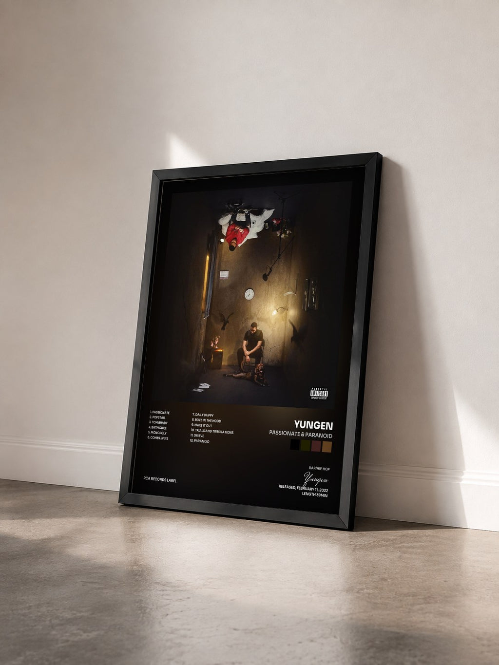#noir Tableau de l'album Passionate & Paranoid de Yungen vu de trois quarts, cadre noir