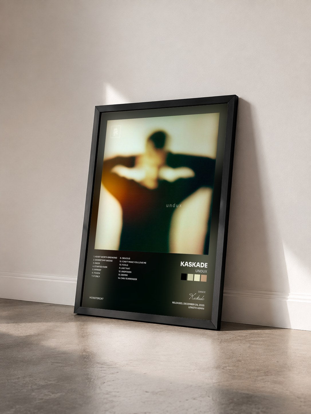 #noir Tableau de l'album undux de Kaskade vu de trois quarts, cadre noir