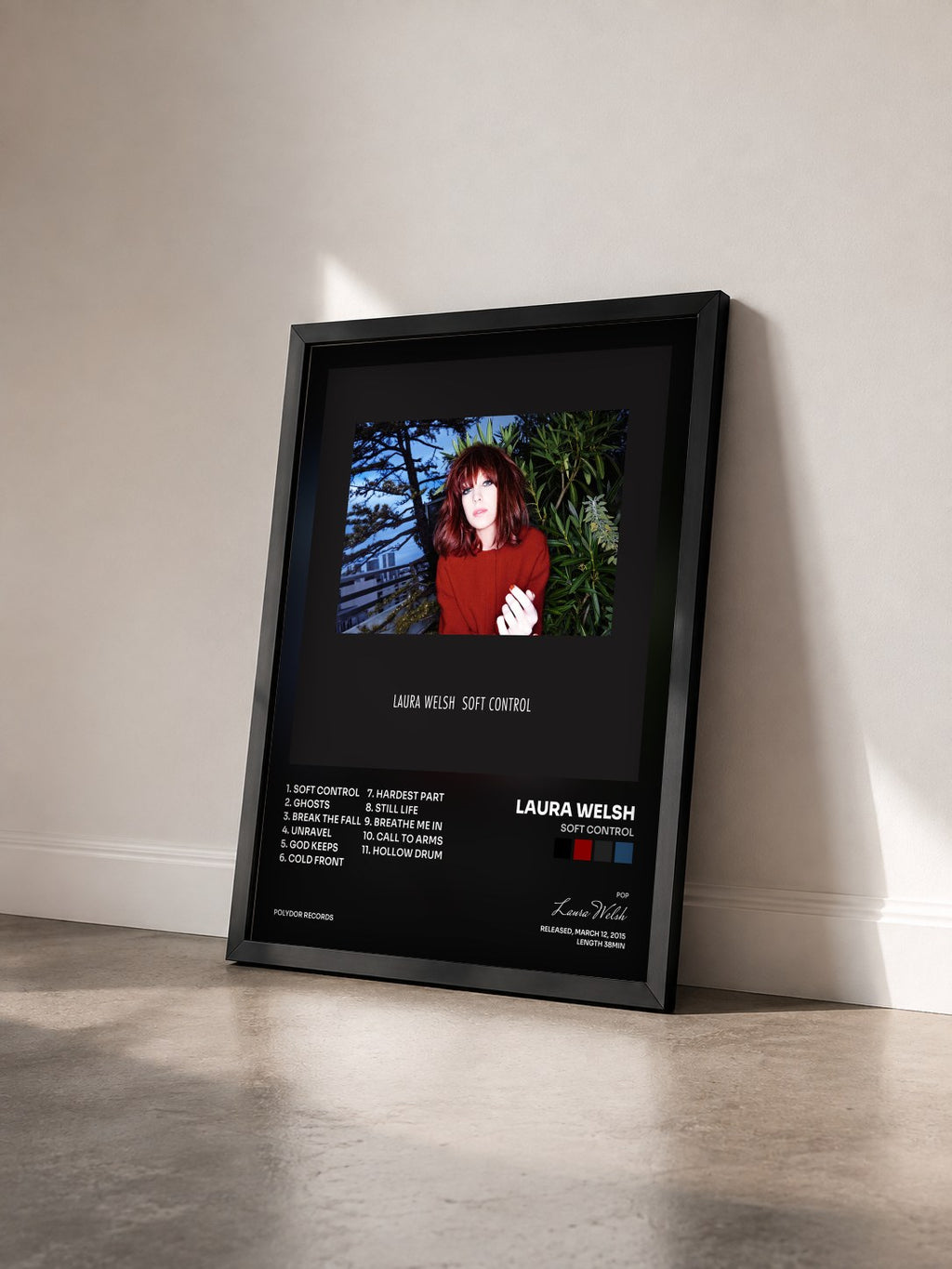 #noir Tableau de l'album Soft Control de Laura Welsh vu de trois quarts, cadre noir