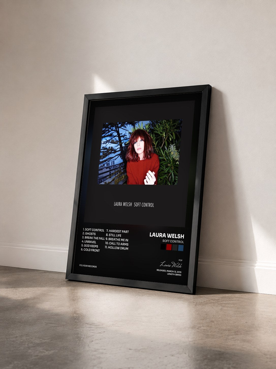 #noir Tableau de l'album Soft Control de Laura Welsh vu de trois quarts, cadre noir
