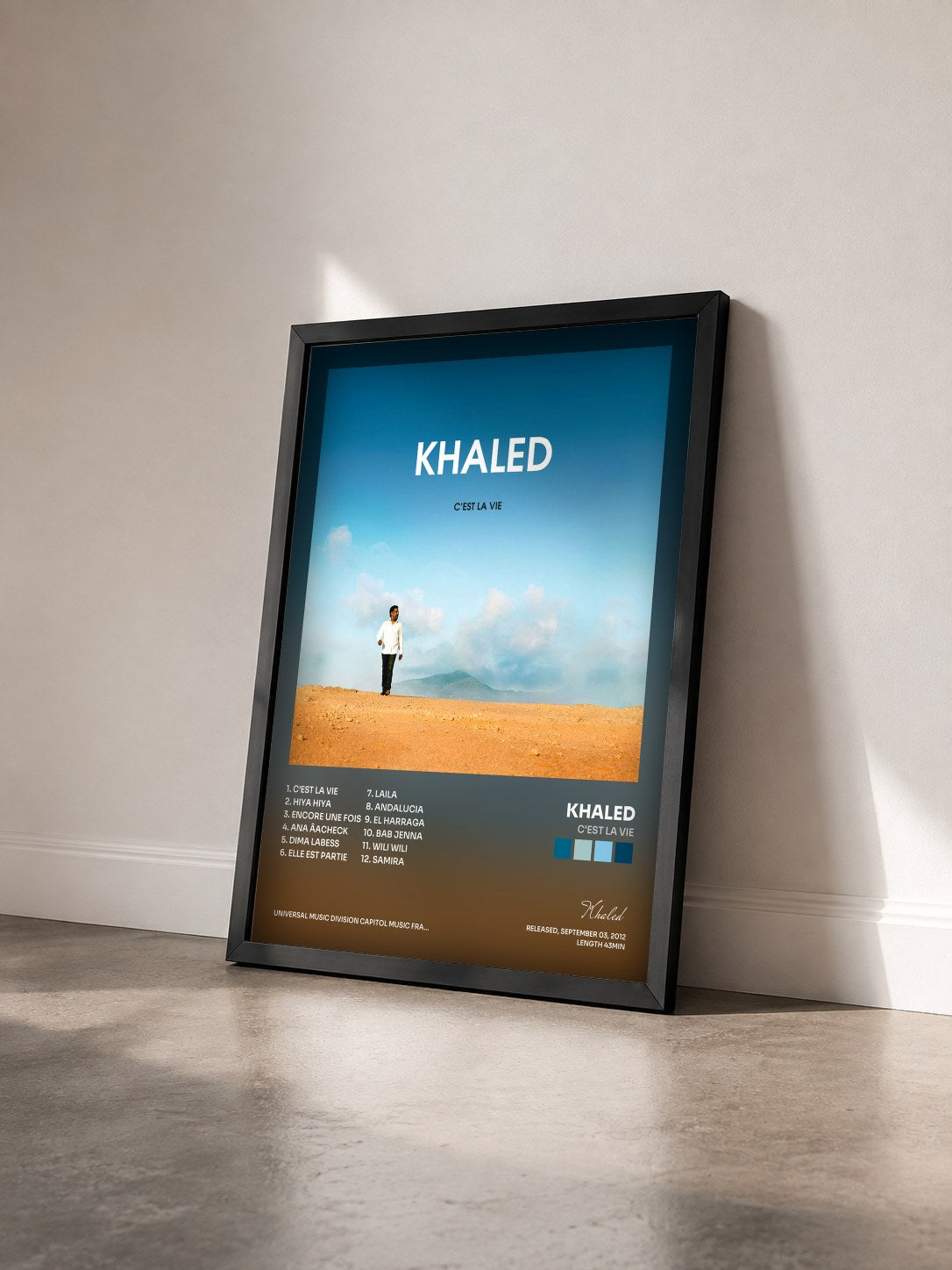 #noir Tableau de l'album C'Est La Vie de Khaled vu de trois quarts, cadre noir