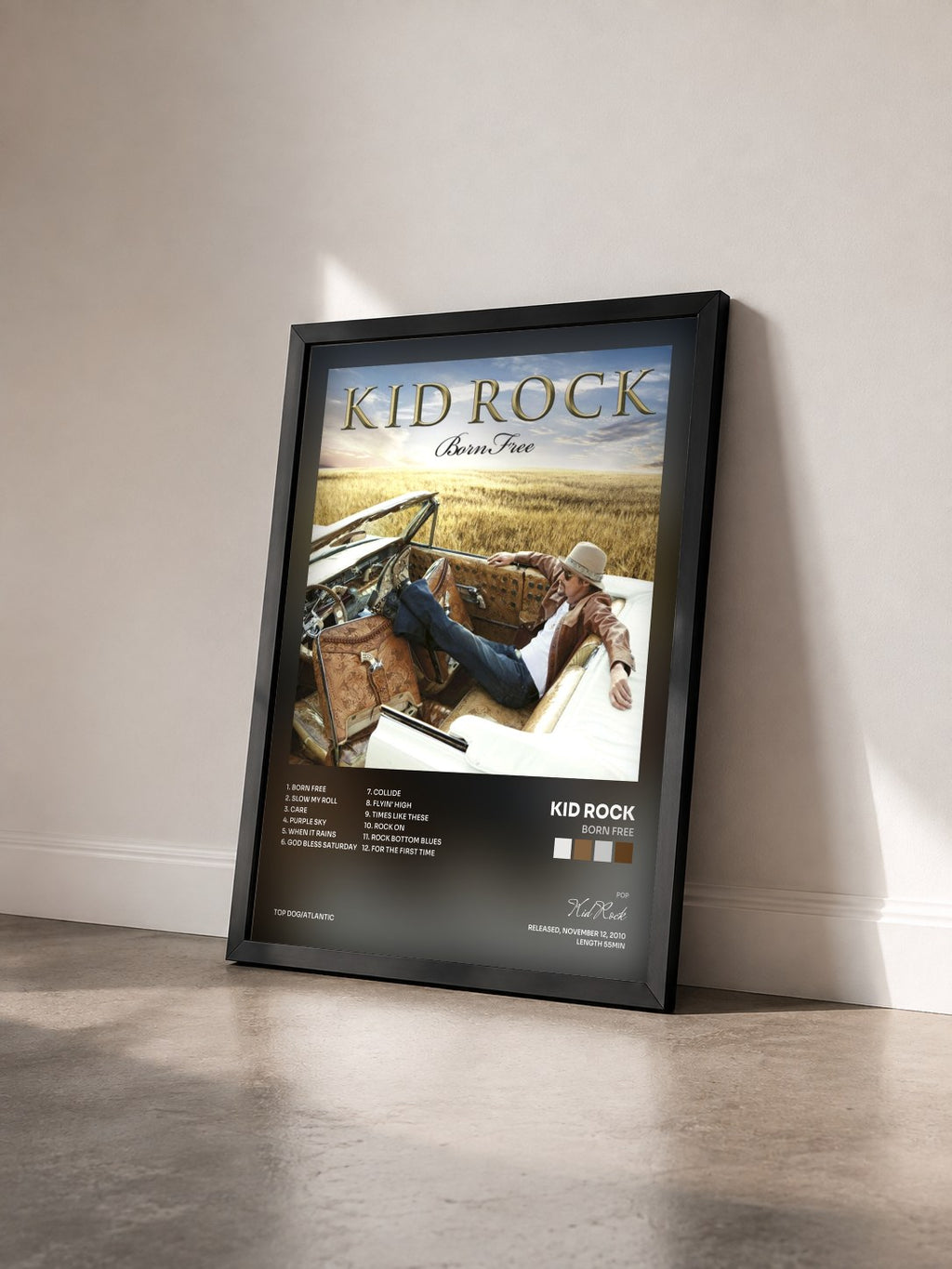 #noir Tableau de l'album Born Free de Kid Rock vu de trois quarts, cadre noir