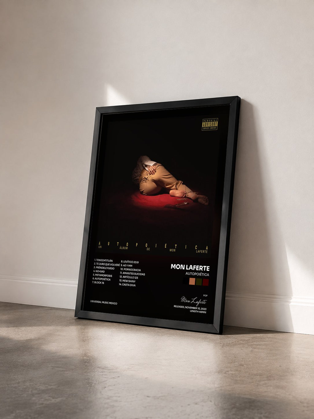 #noir Tableau de l'album Autopoiética de Mon Laferte vu de trois quarts, cadre noir