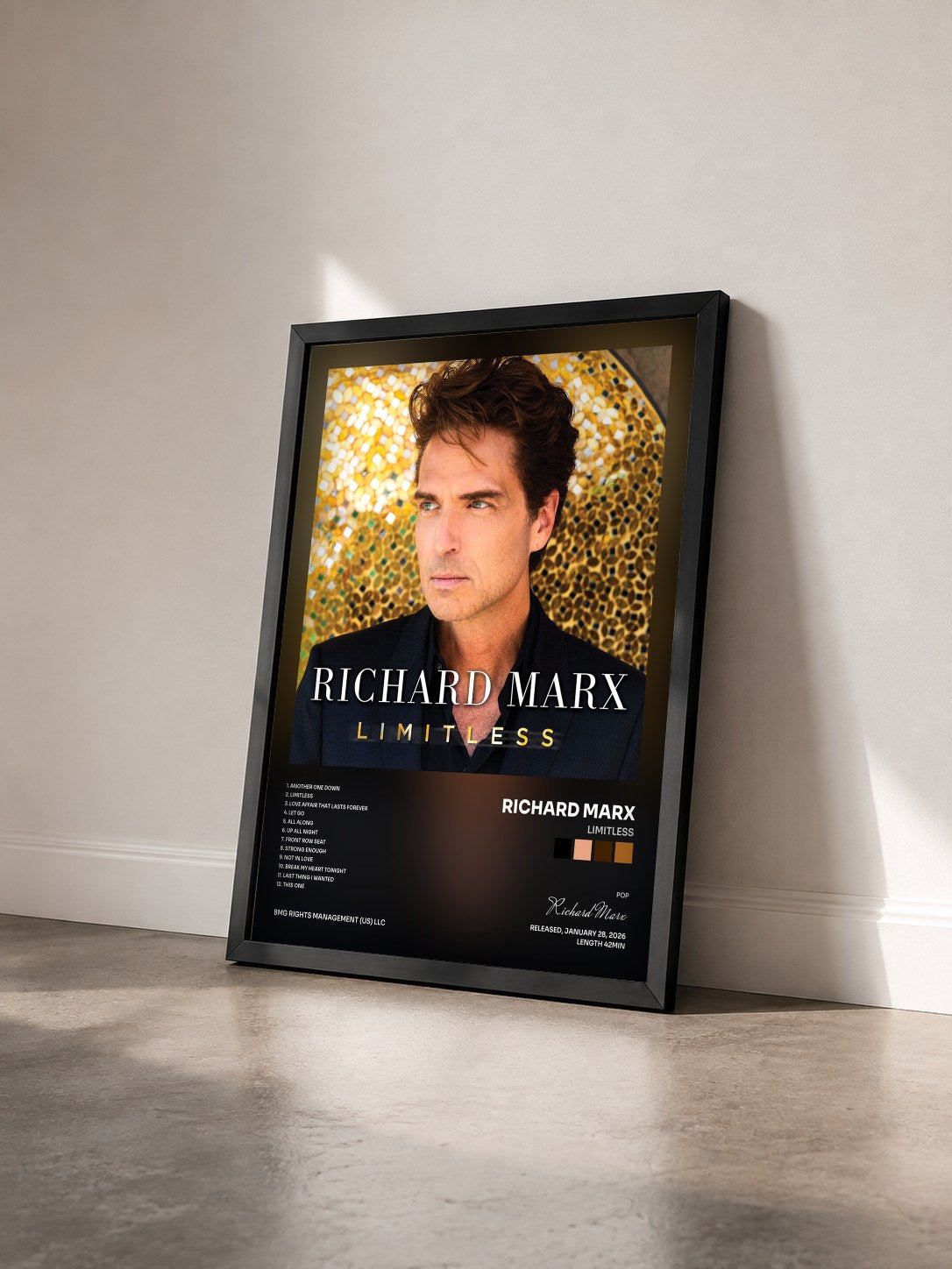 #noir Tableau de l'album LIMITLESS de Richard Marx vu de trois quarts, cadre noir