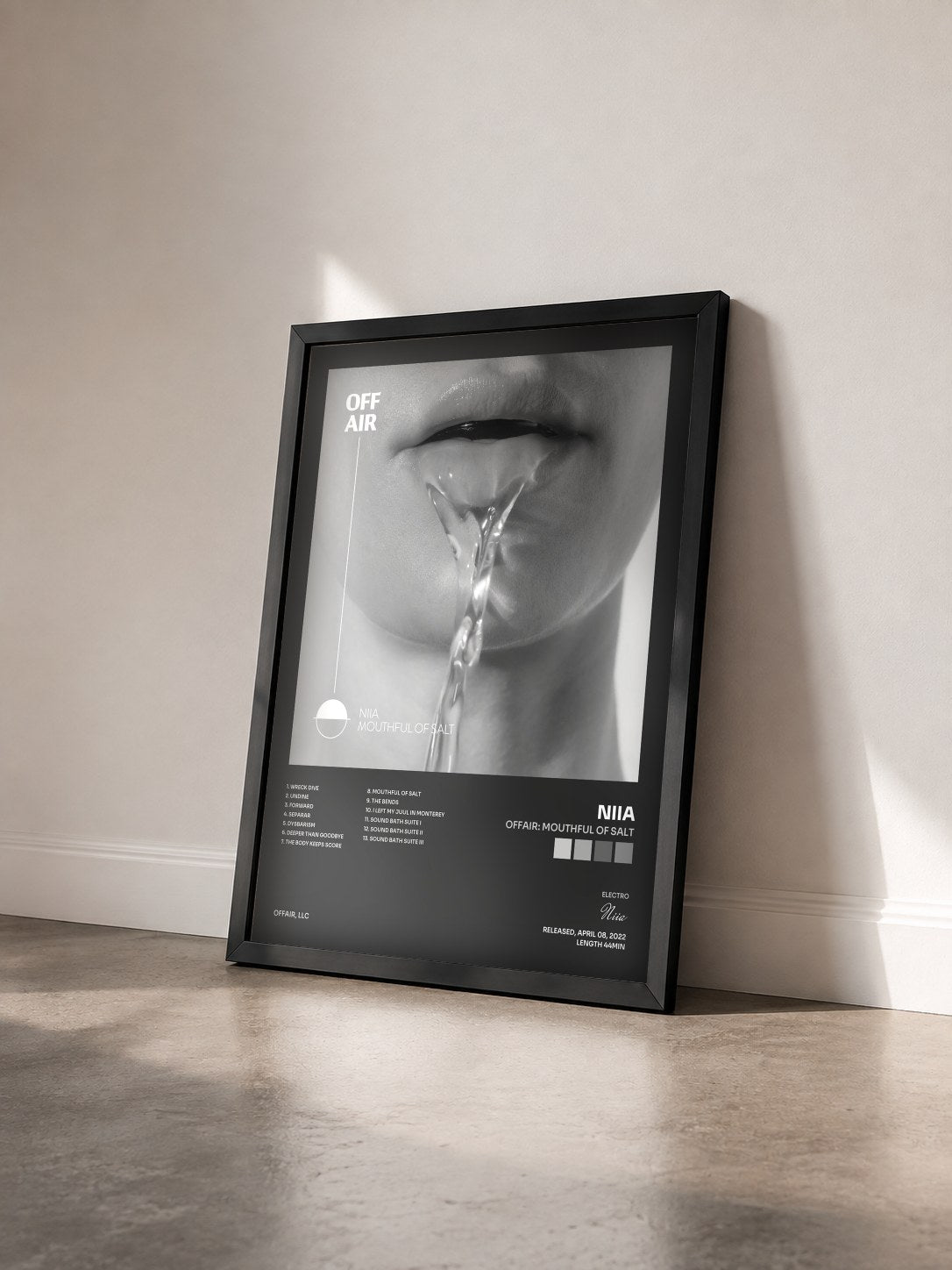 #noir Tableau de l'album OFFAIR: Mouthful of Salt de Niia vu de trois quarts, cadre noir