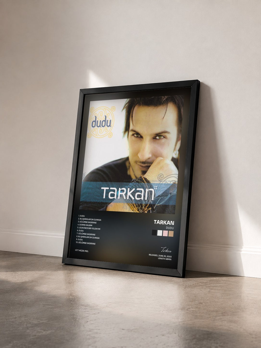 #noir Tableau de l'album Dudu de Tarkan vu de trois quarts, cadre noir