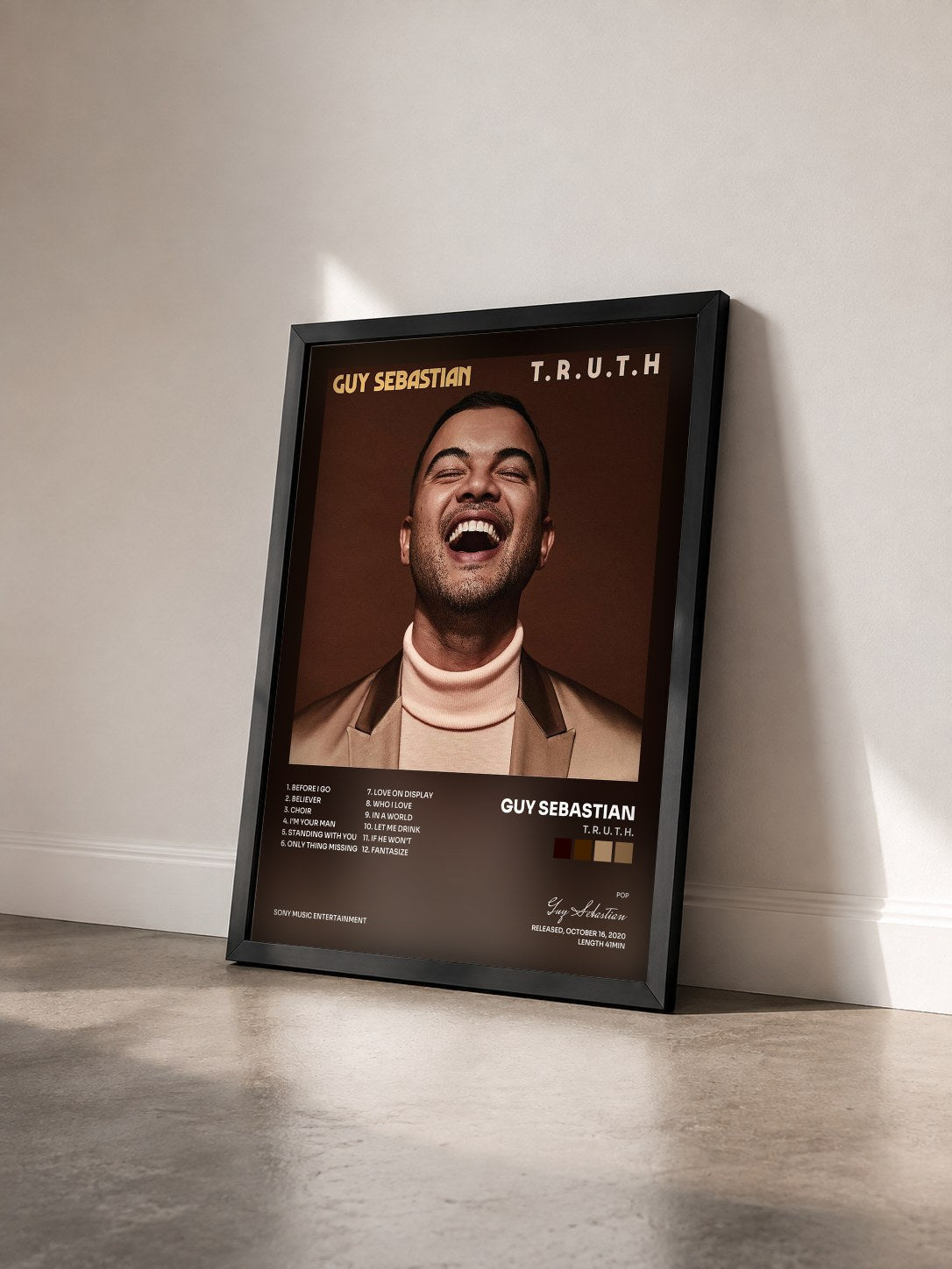 #noir Tableau de l'album T. R. U. T. H. de Guy Sebastian vu de trois quarts, cadre noir