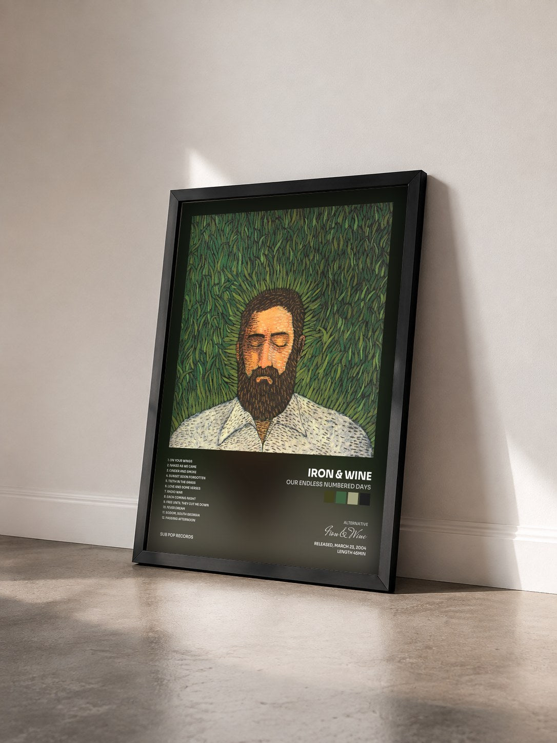 #noir Tableau de l'album Our Endless Numbered Days de Iron & Wine vu de trois quarts, cadre noir