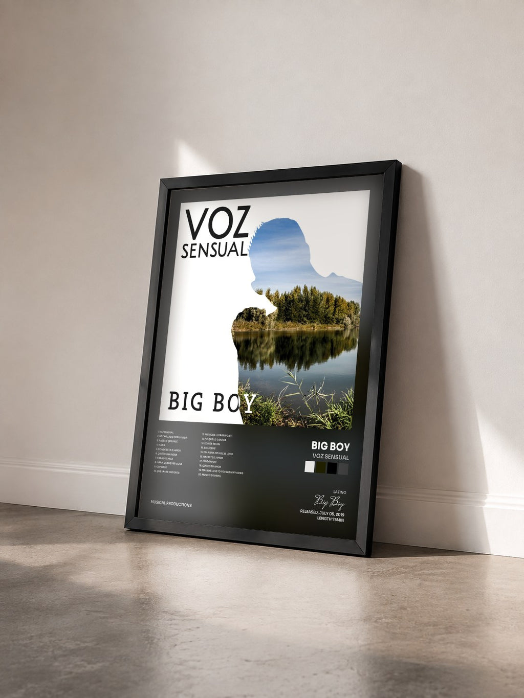 #noir Tableau de l'album Voz Sensual de Big Boy vu de trois quarts, cadre noir