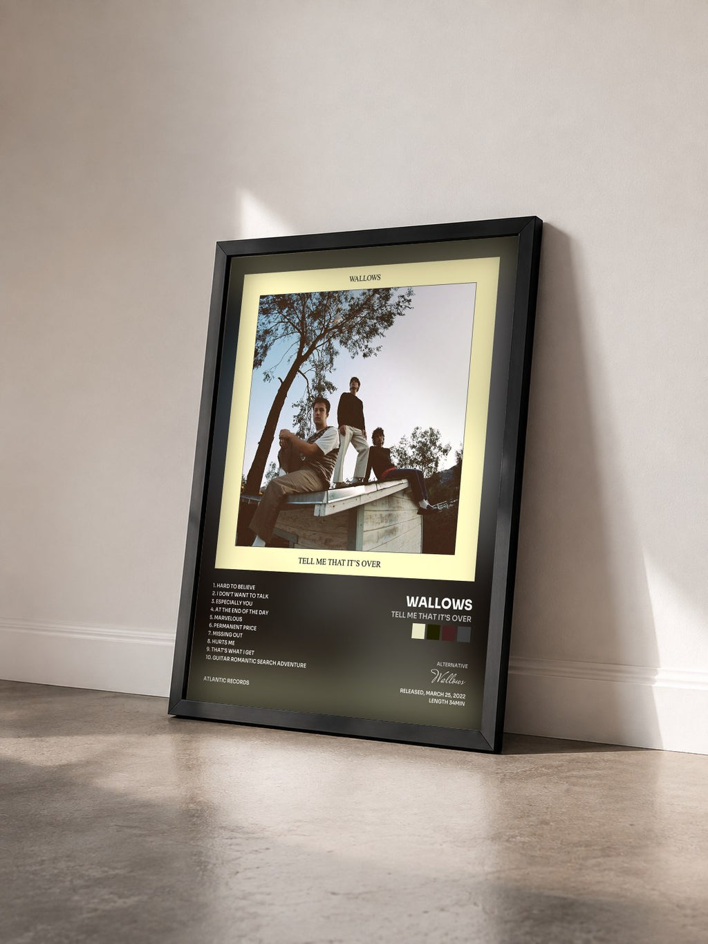 #noir Tableau de l'album Tell Me That It’s Over de Wallows vu de trois quarts, cadre noir